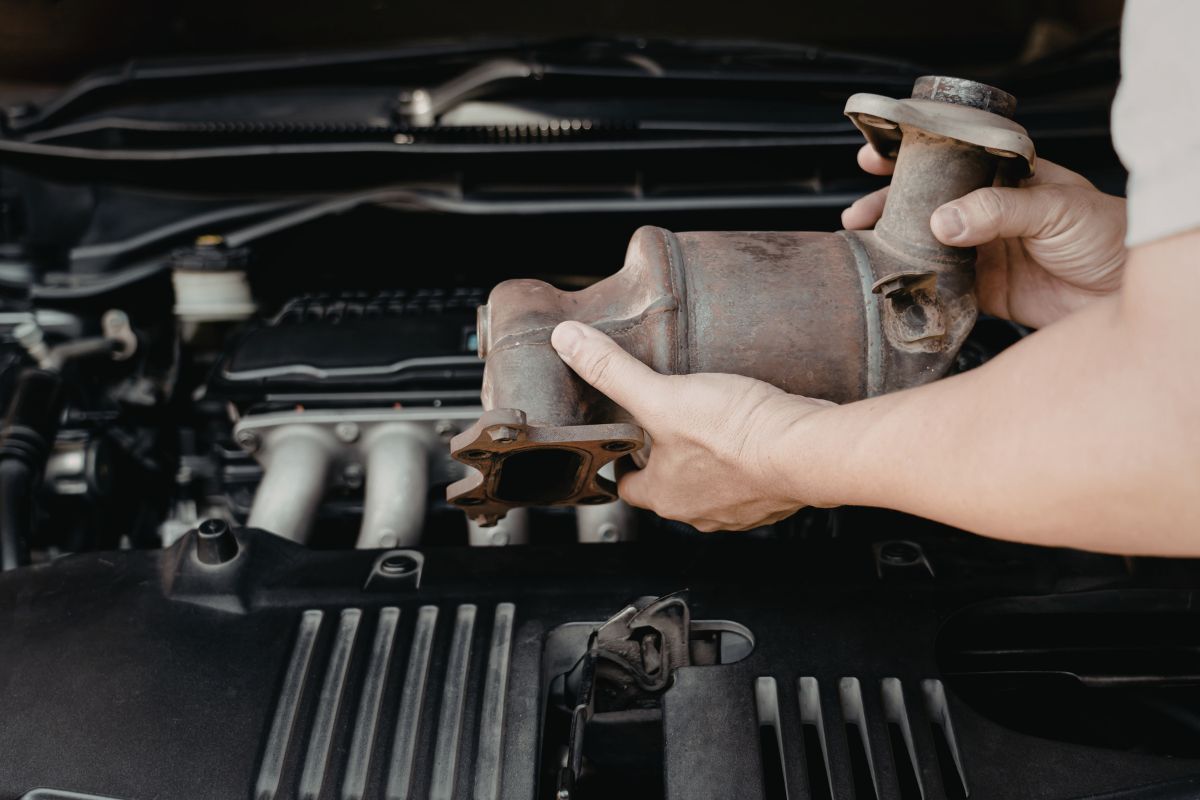 DPF reinigen